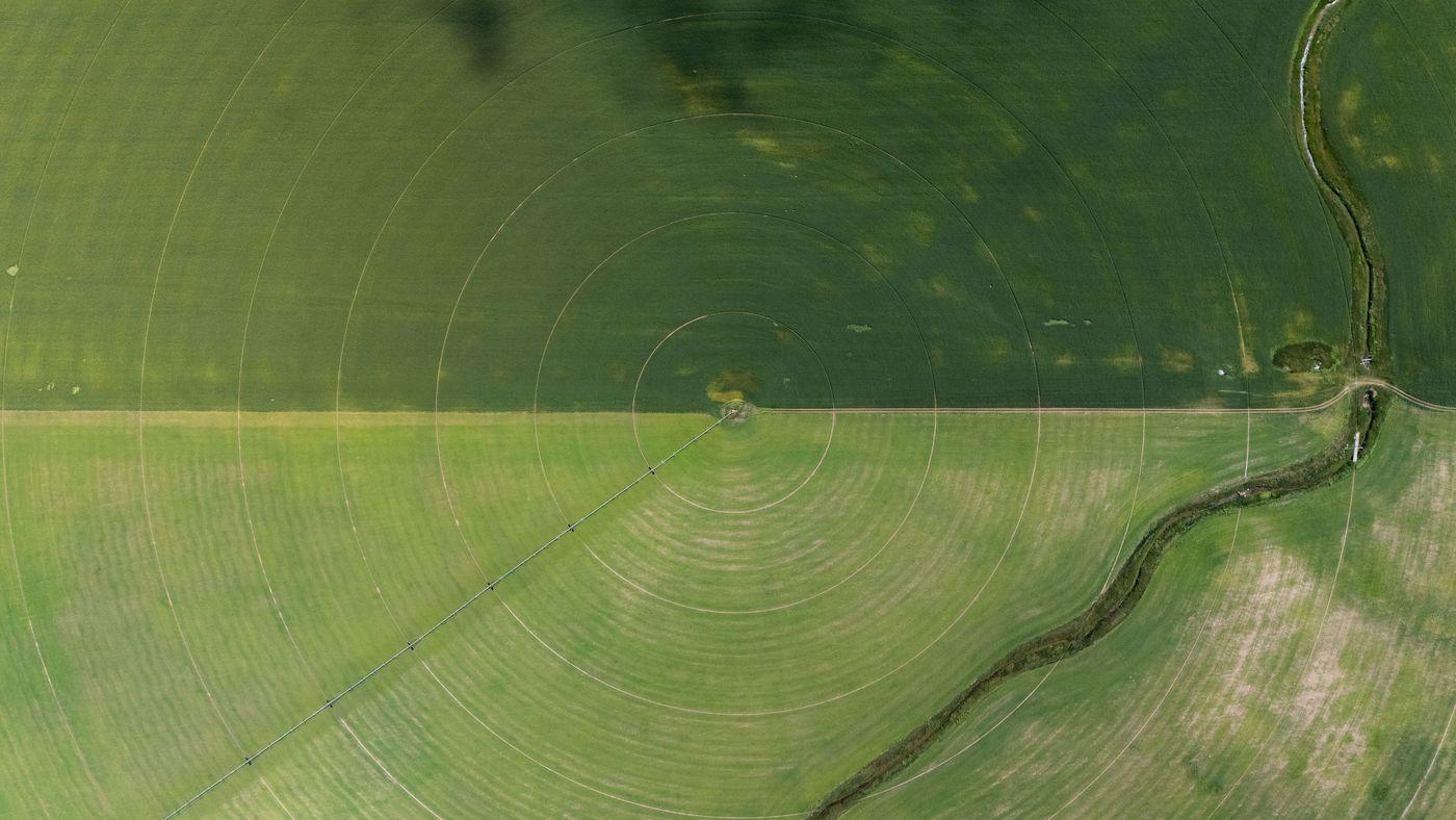 Aerial view of circular irrigated fields beside a winding river